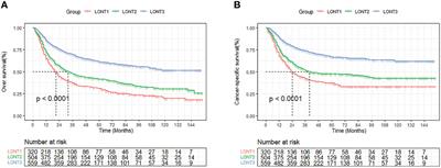 Predictive Value of the Log Odds of Negative Lymph Nodes/T Stage as a Novel Prognostic Factor in Bladder Cancer Patients After Radical Cystectomy